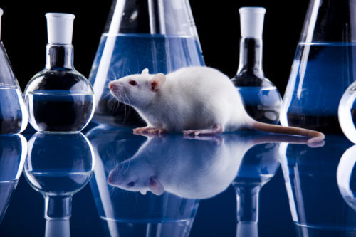 soft mouse lab informatics