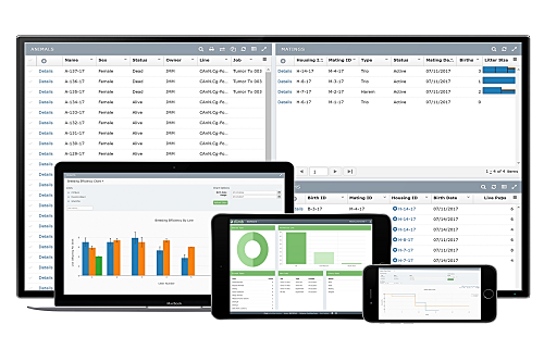 Climb LMS Software for All Devices