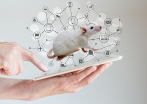 Lab mouse in an infographic