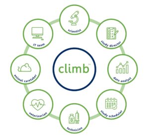 Climb roles infographic