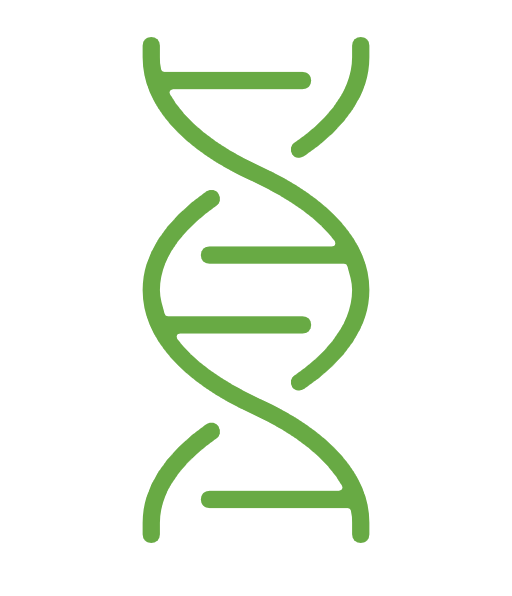 animation of a DNA strand