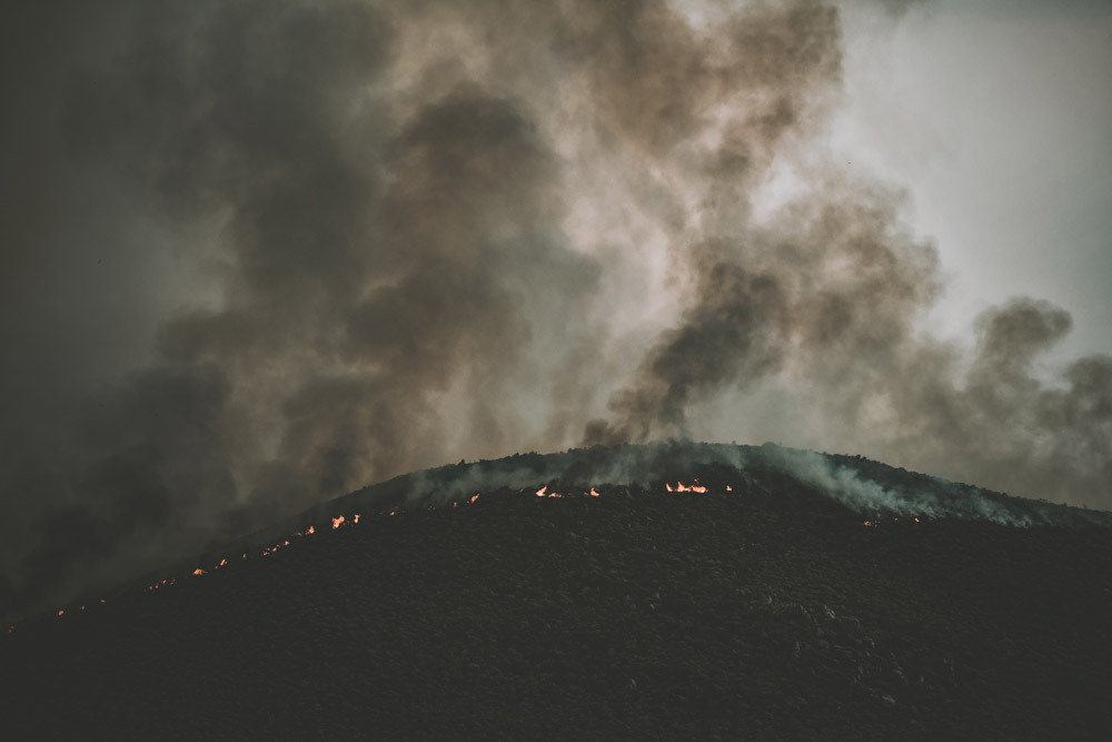 apocolypse_sm Climate apocalypse