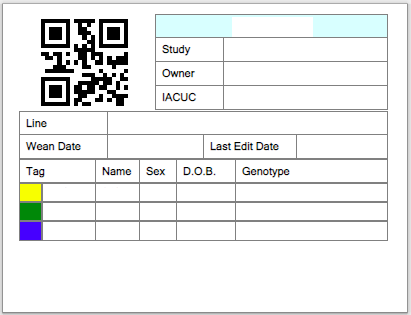 RapidId Color Coded Cage Card